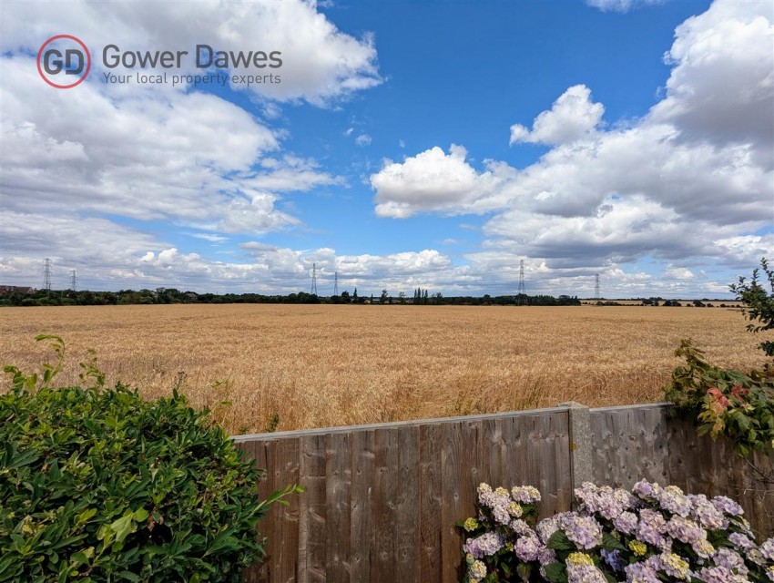 Images for Savannah Greyhound Lane, Grays