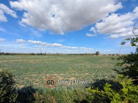 Images for Greyhound Lane, Orsett Heath